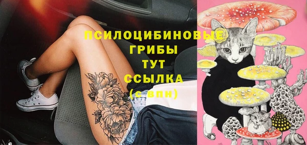 марки nbome Заводоуковск