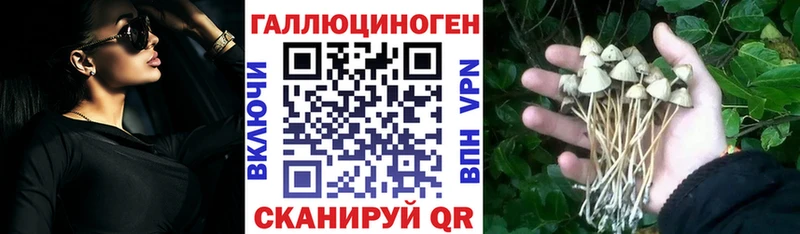 Купить  Духовщина  Псилоцибиновые грибы Cubensis 