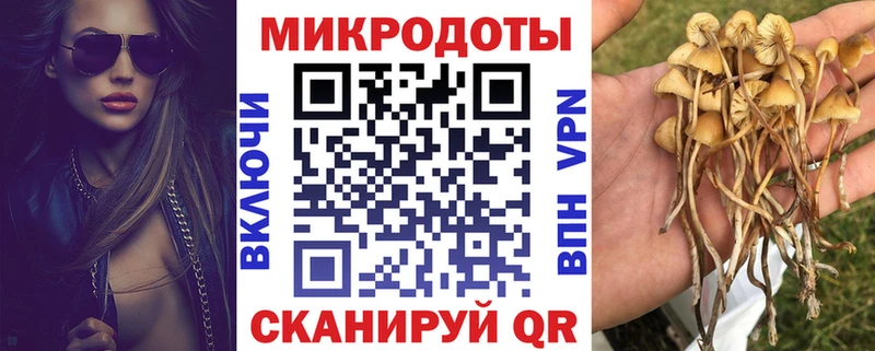 Галлюциногенные грибы мухоморы Духовщина
